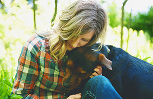 The Dog Blog